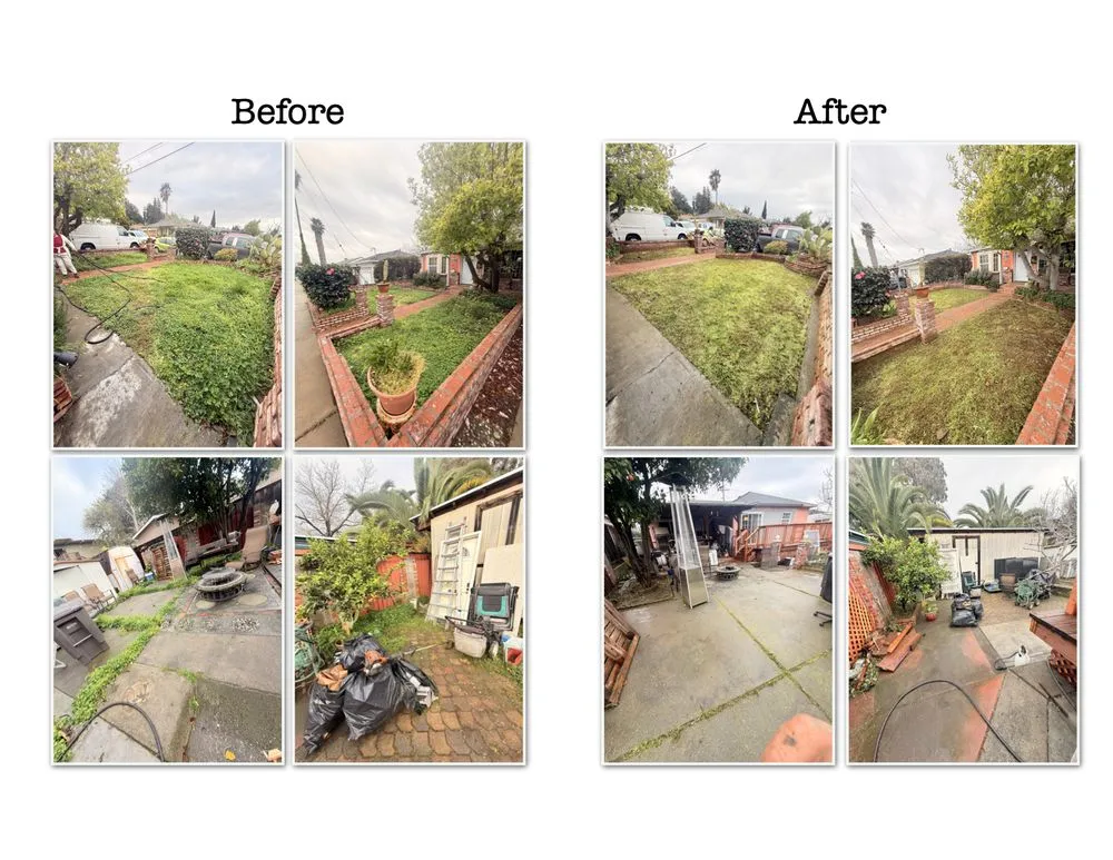 Top-rated yard maintenance in Oakland, CA - Felix landscape fencing