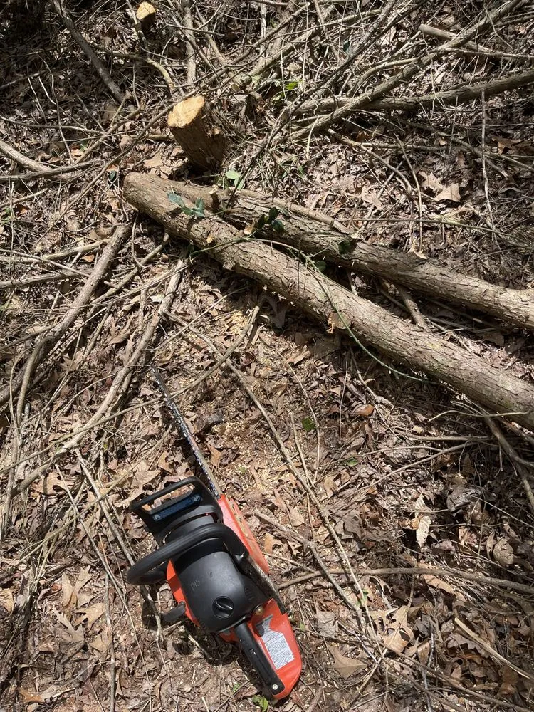 Professional landscaping services experts serving Easley, SC - Felix Landscape Irrigation