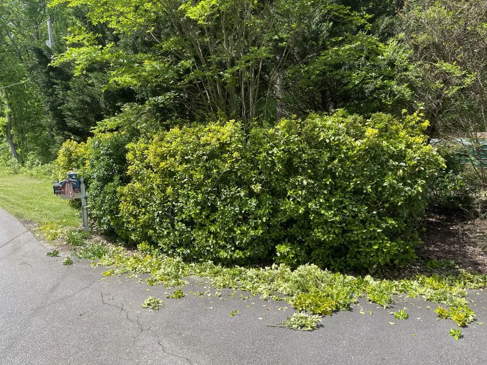 Local lawn care service for homes across Easley, SC - Felix Landscape Irrigation