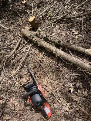 Felix Landscape Irrigation Logo