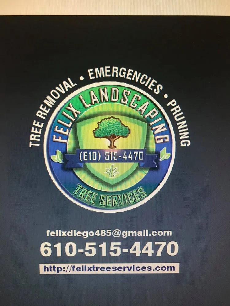 Professional landscaping services in Chester, PA by Felix Landscaping And Tree Services