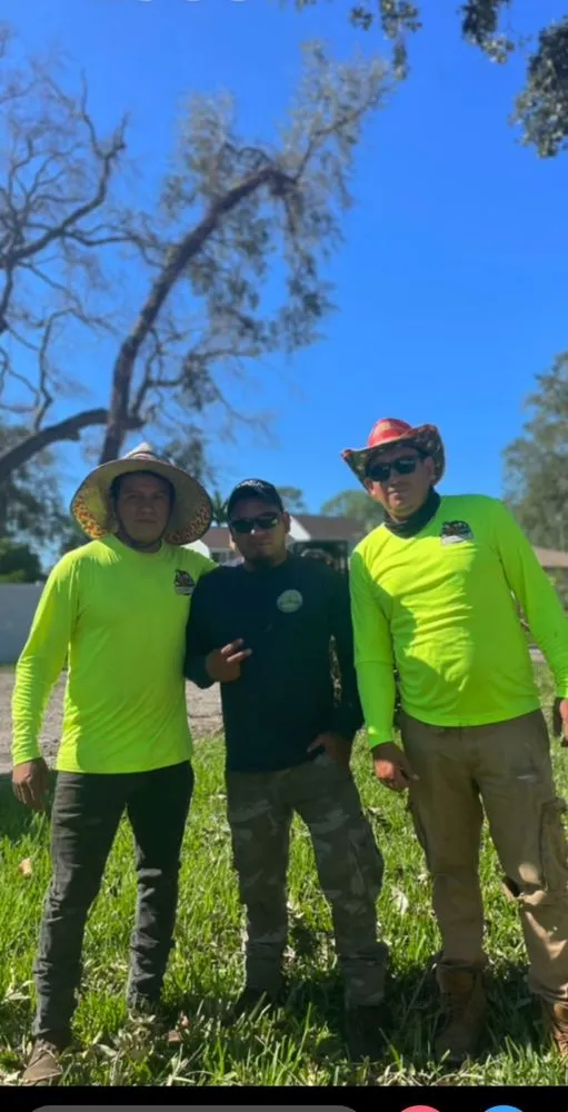 Top-rated landscape installation in Chester, PA by Felix Landscaping And Tree Services