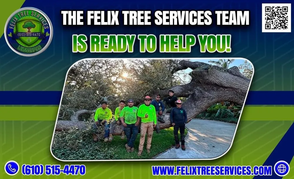 Professional yard maintenance in Chester, PA - Felix Landscaping And Tree Services
