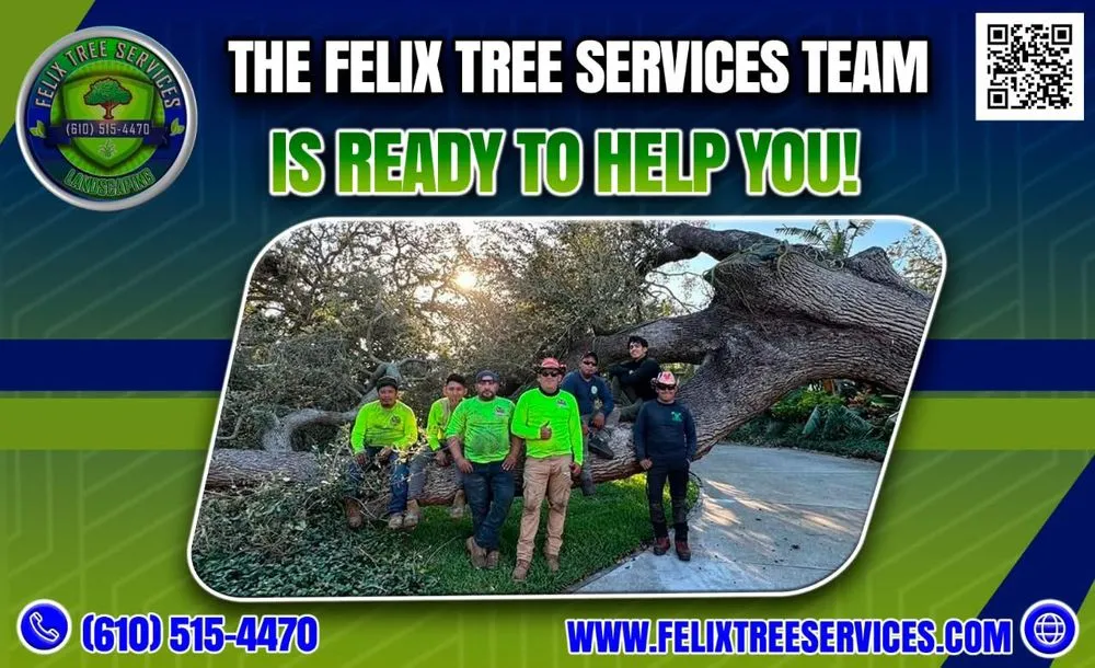 Top-rated lawn care service with custom design in Chester, PA by Felix Landscaping And Tree Services