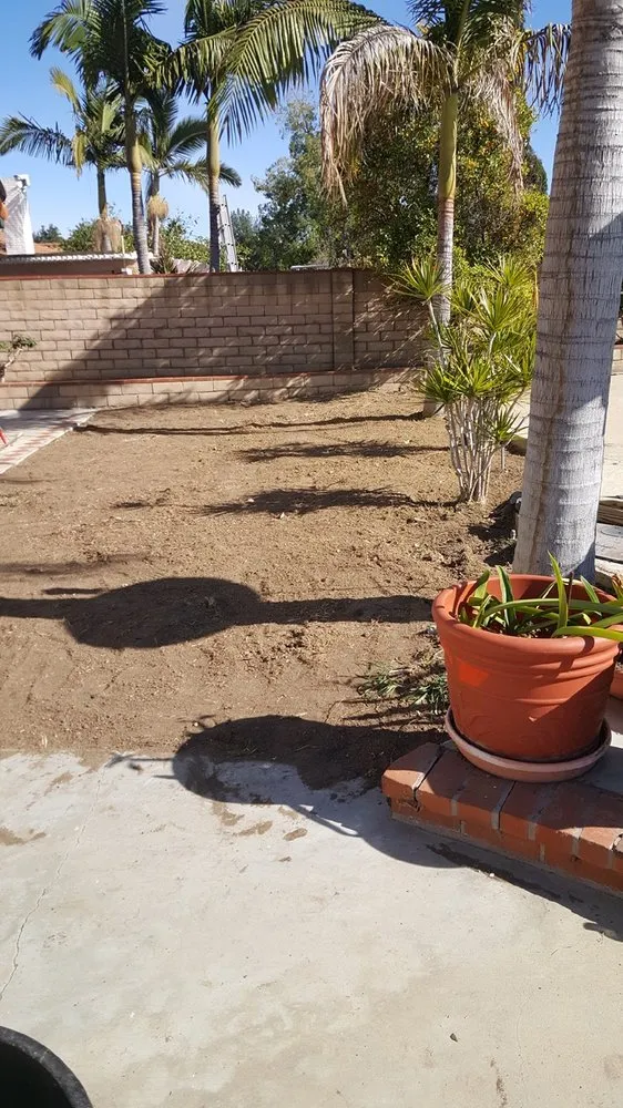 Affordable landscape installation for outdoor upgrades across Chino, CA - Felix Landscaping