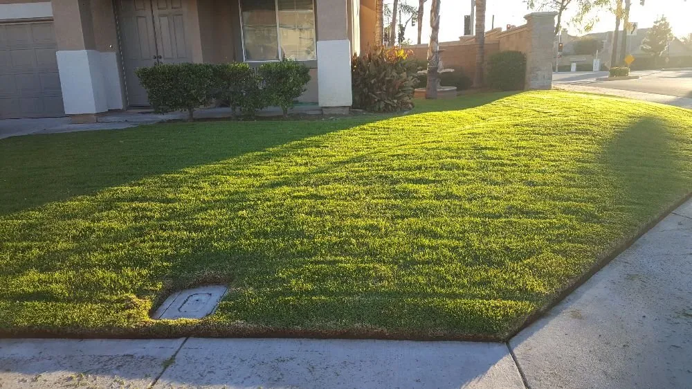 Top-rated lawn care service experts serving Chino, CA - Felix Landscaping