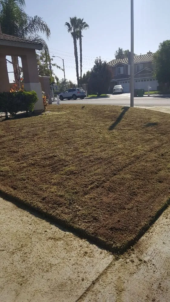 Trusted landscape installation in Chino, CA by Felix Landscaping