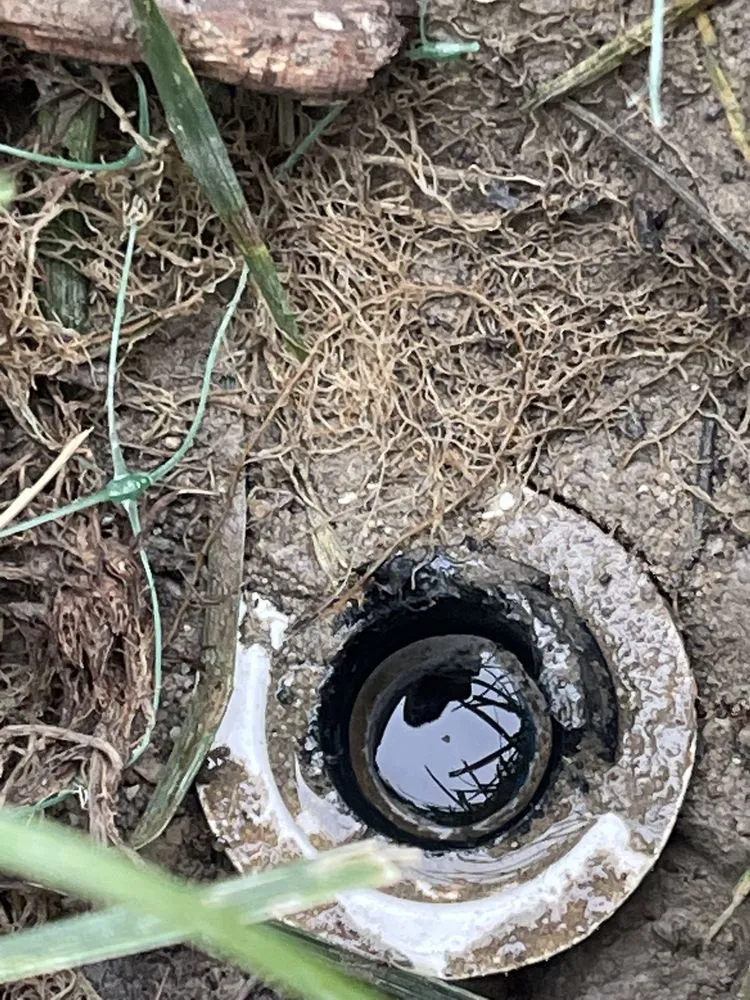 Reliable garden landscaping experts serving Chino, CA - Felix Landscaping