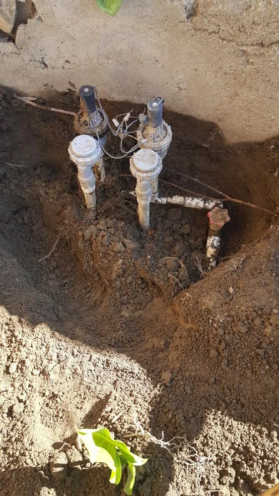 Custom yard maintenance near you in Chino, CA by Felix Landscaping