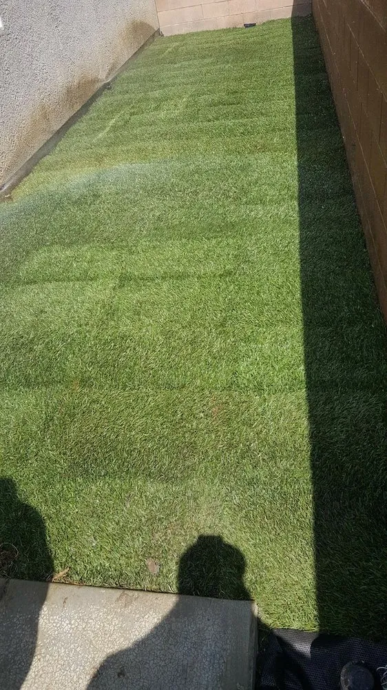 Affordable yard cleanup service experts serving Chino, CA - Felix Landscaping