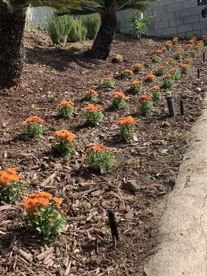 Felix Landscaping Logo