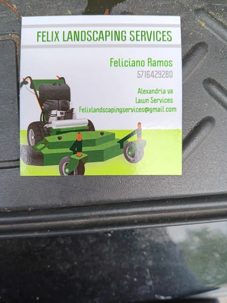 Custom yard cleanup service in Lincolnia, VA - Felix Landscaping Services