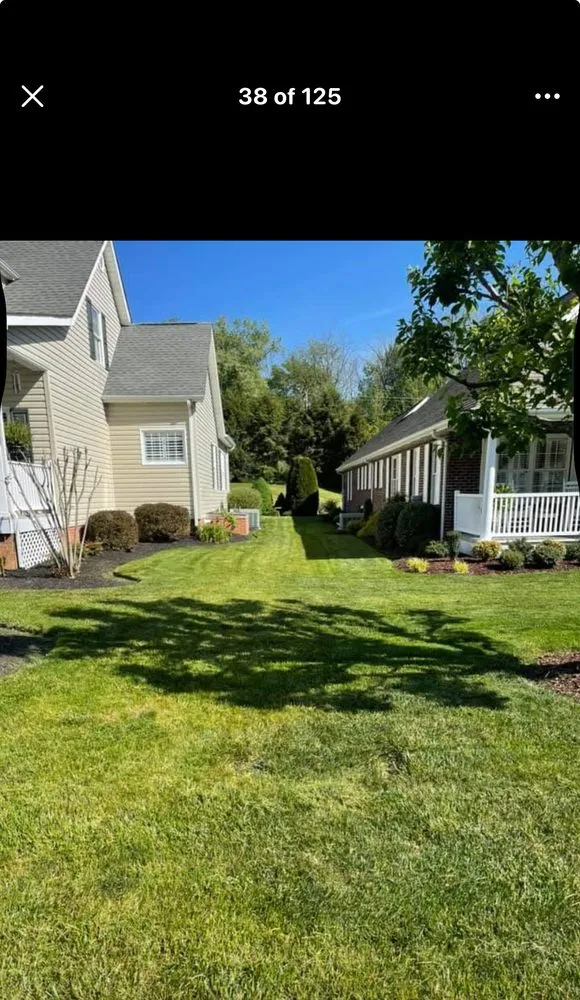 Affordable garden landscaping for residential properties across Fall Branch, TN - Felix Lawn Care