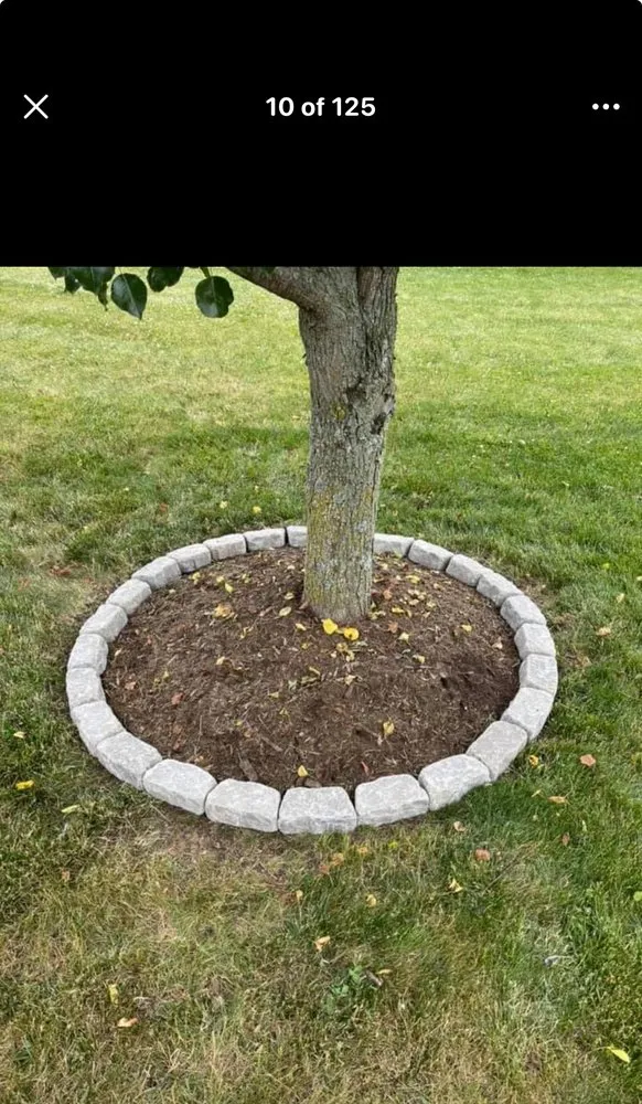 Professional landscaping services experts serving Fall Branch, TN - Felix Lawn Care