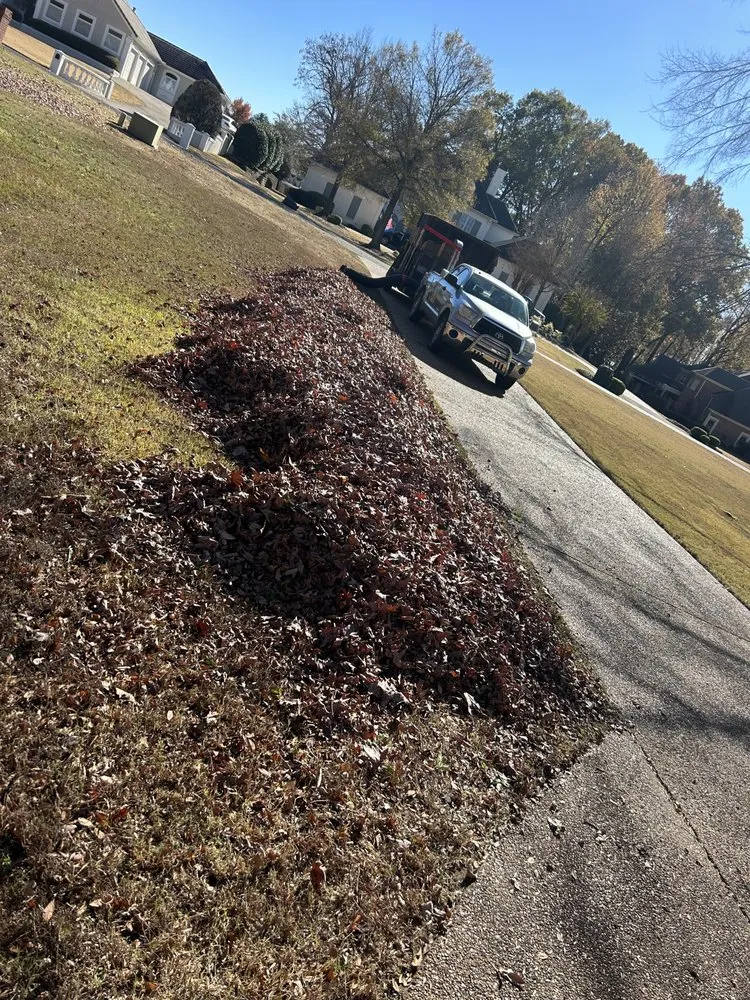 Trusted lawn mowing service for residential properties across Memphis, TN - Felix