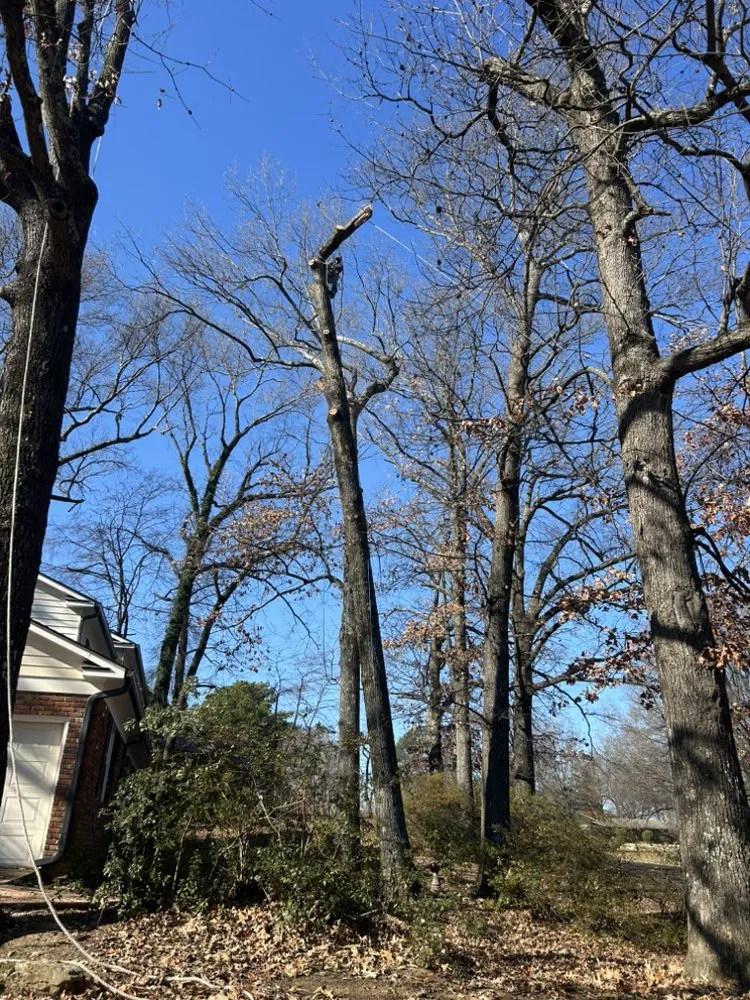 Custom landscape installation in Memphis, TN - Felix