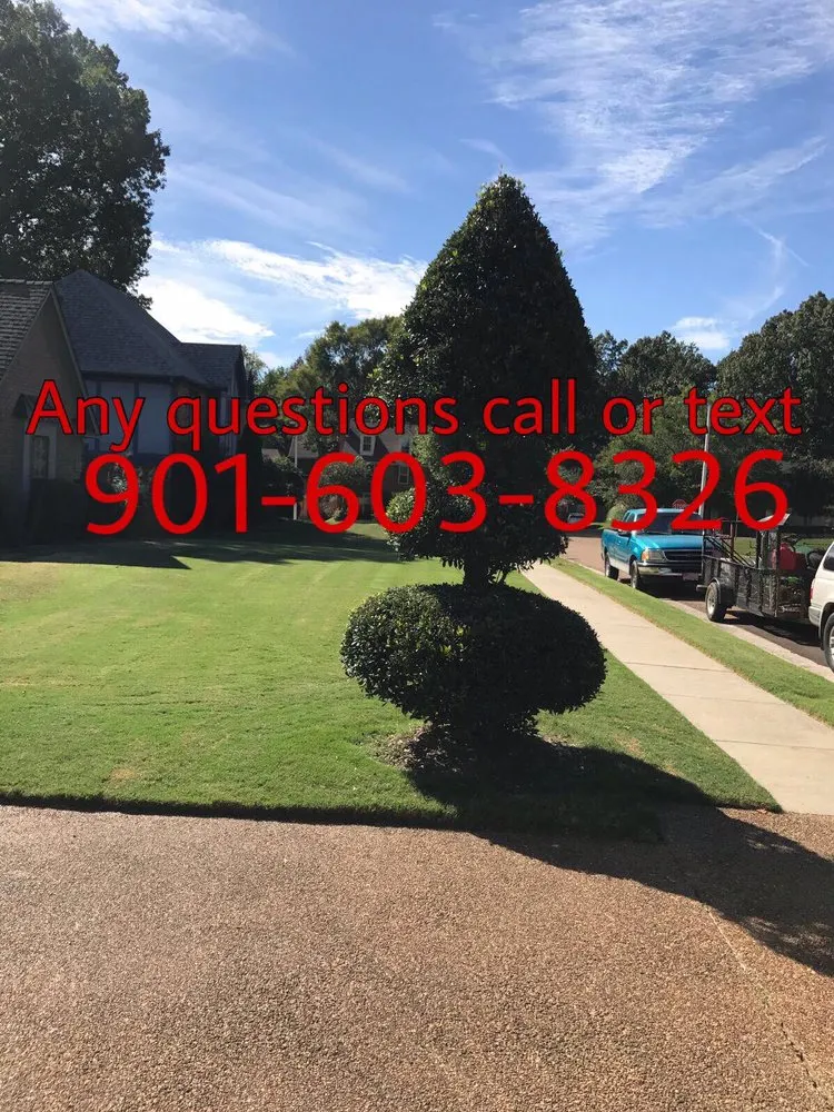 Top-rated lawn mowing service in Memphis, TN by Felix