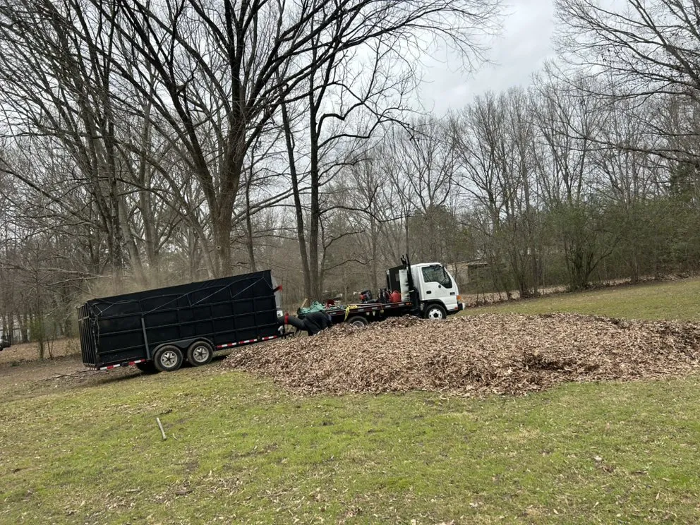 Expert garden landscaping in Memphis, TN - Felix