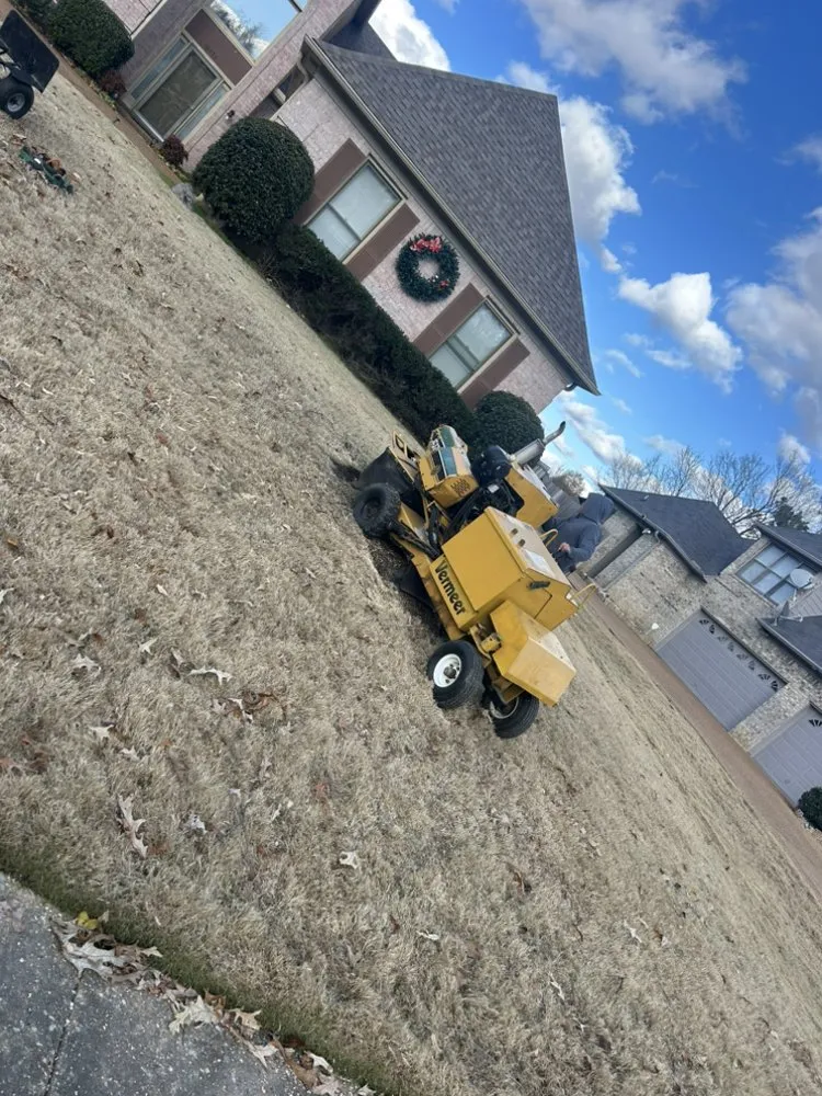 Expert yard maintenance with custom design in Memphis, TN by Felix