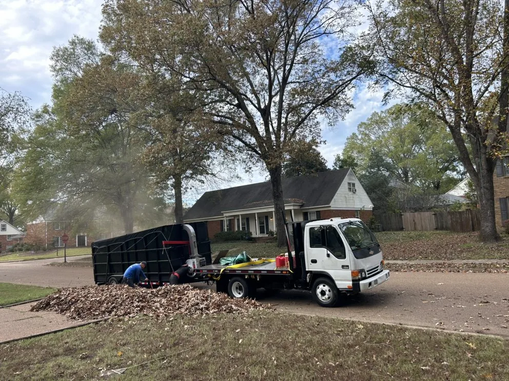 Local landscape installation in Memphis, TN by Felix