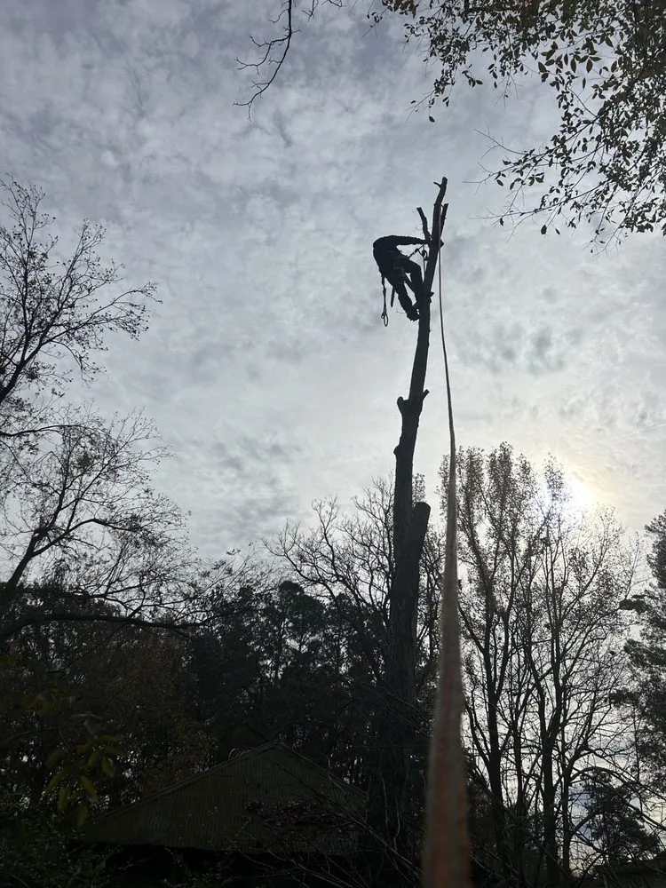 Local yard maintenance for homes across Memphis, TN - Felix