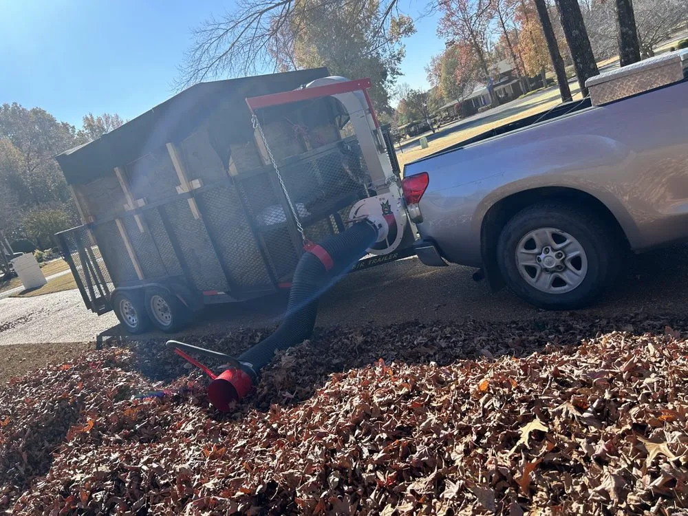 Professional yard cleanup service in Memphis, TN by Felix