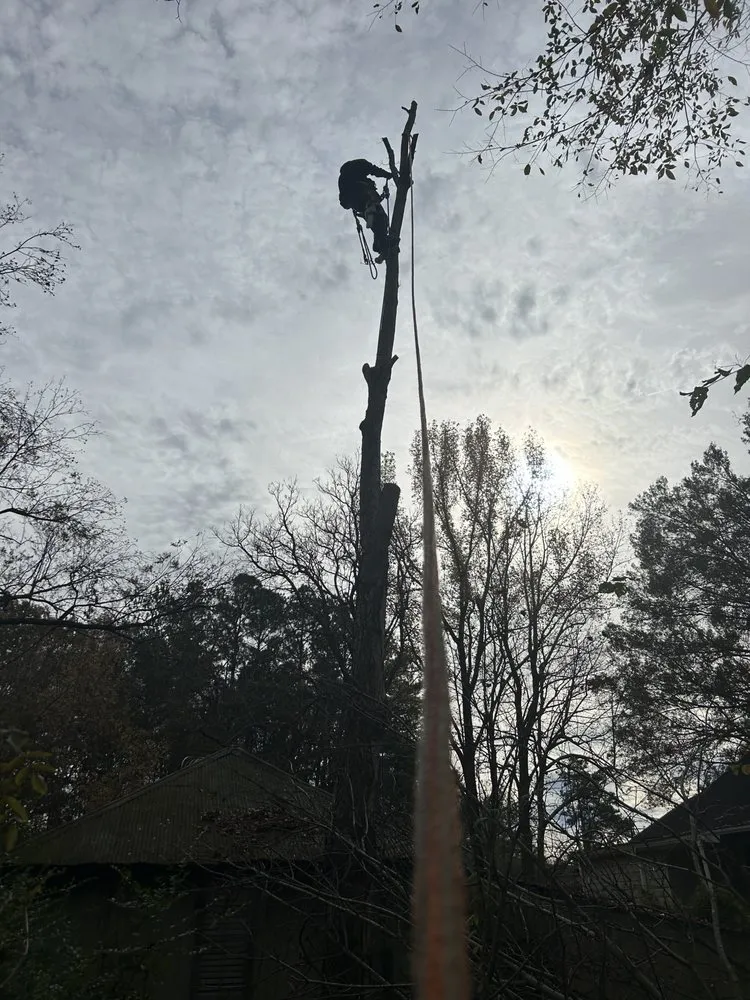 Affordable outdoor landscaping experts serving Memphis, TN - Felix