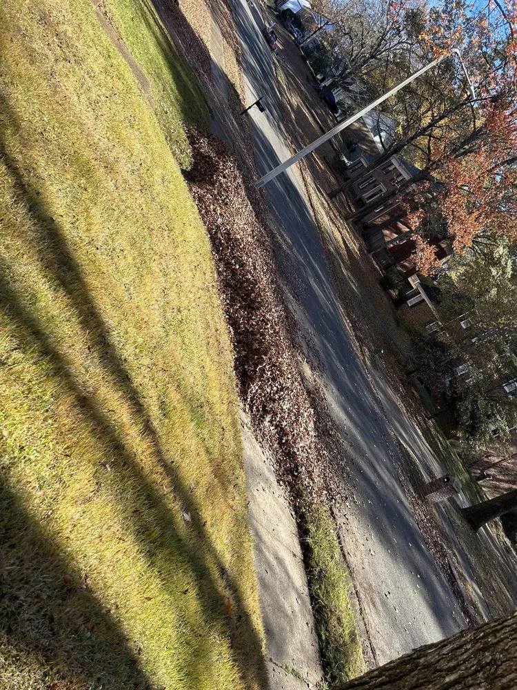 Trusted outdoor landscaping for residential properties in Memphis, TN by Felix