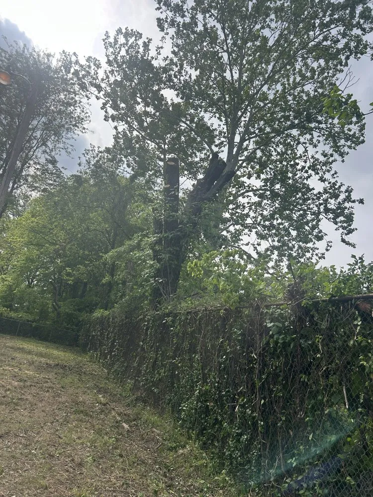 Local garden landscaping in Memphis, TN by Felix