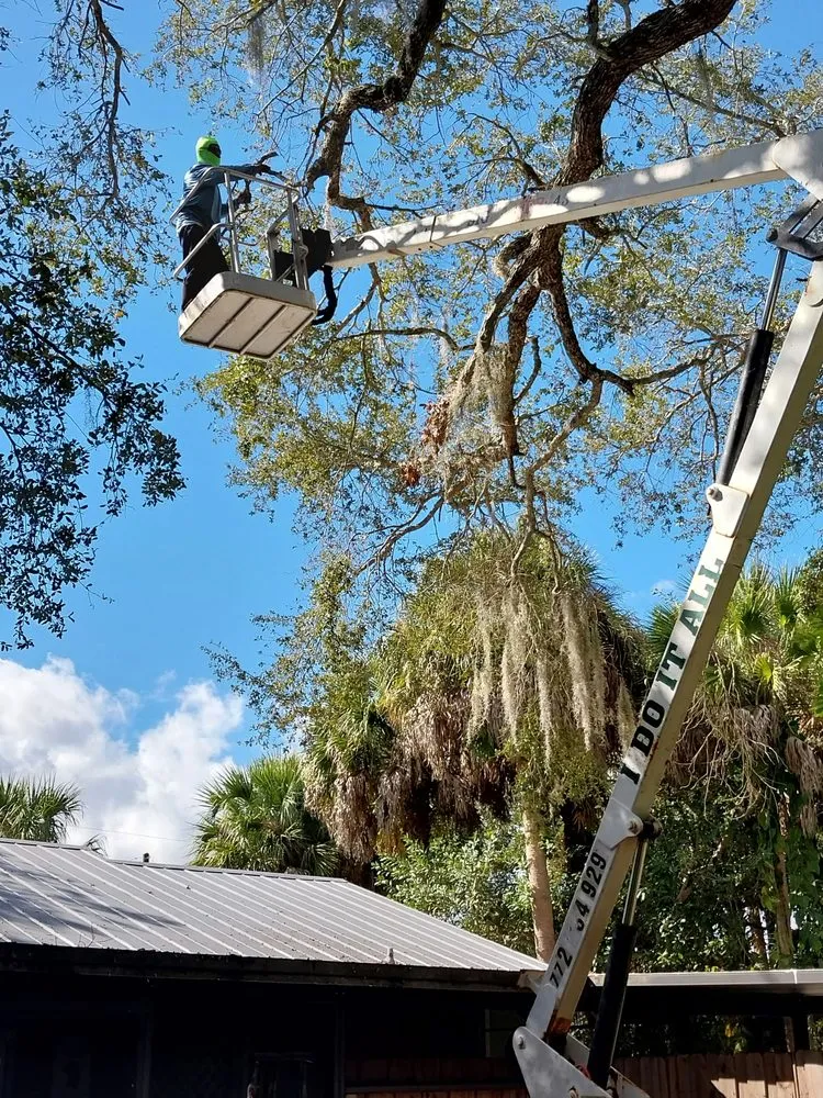 Professional outdoor landscaping in Indiantown, FL - Felix Molina Do All Lawn Maintenance