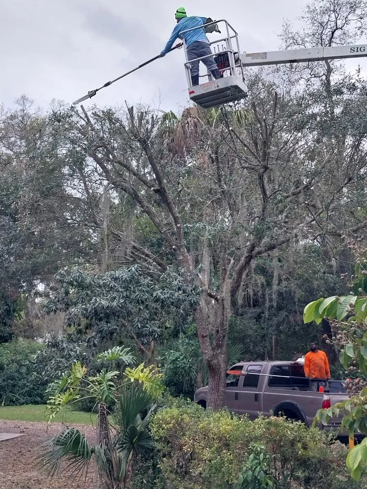 Custom yard maintenance in Indiantown, FL by Felix Molina Do All Lawn Maintenance