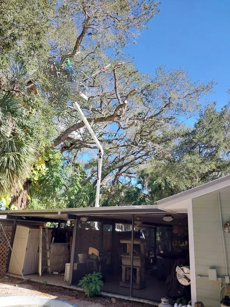 Professional outdoor landscaping in Indiantown, FL - Felix Molina Do All Lawn Maintenance