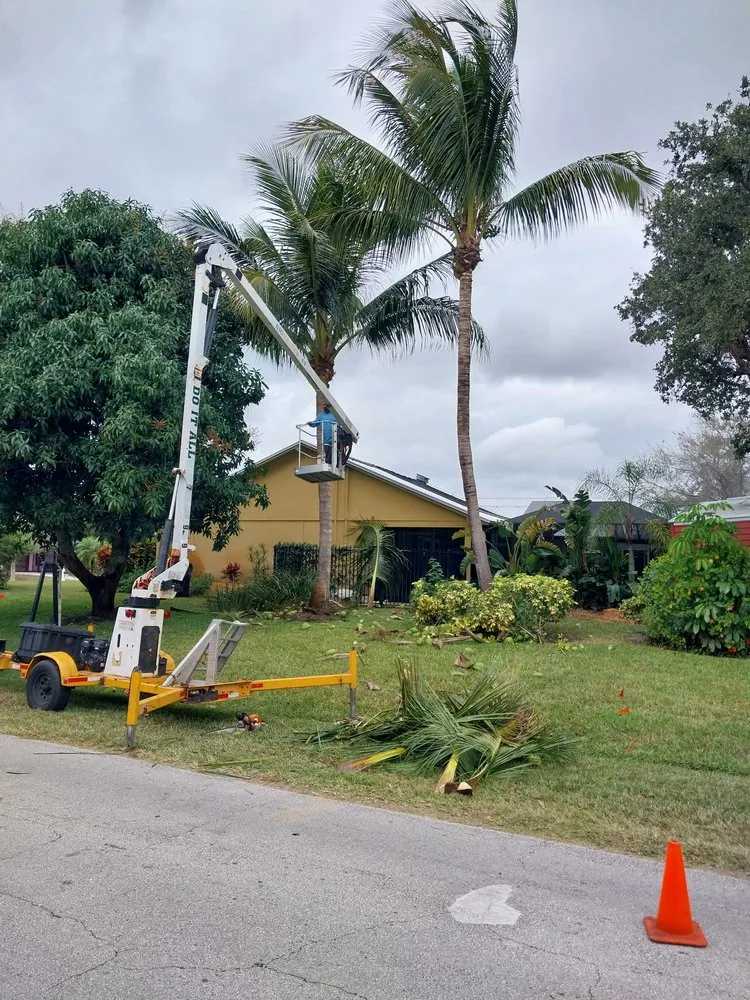 Professional yard cleanup service for residential properties across Indiantown, FL - Felix Molina Do All Lawn Maintenance