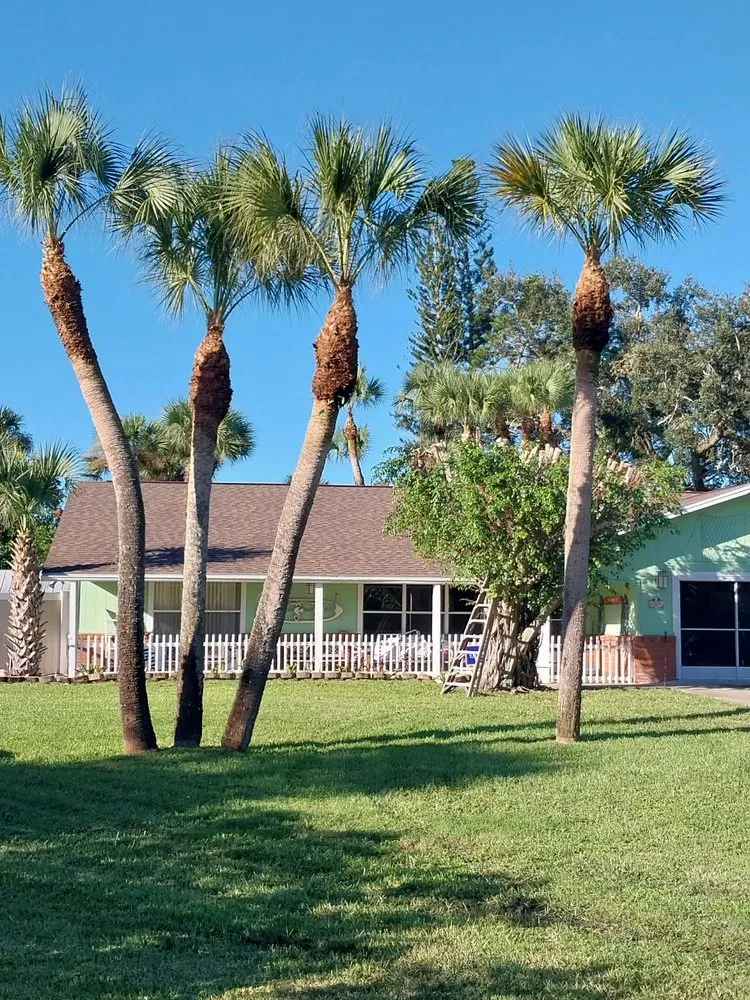 Trusted lawn care service experts serving Indiantown, FL - Felix Molina Do All Lawn Maintenance