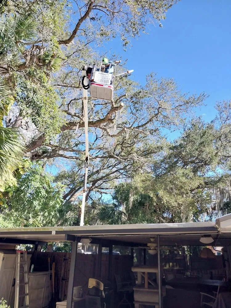 Expert landscape design near you across Indiantown, FL - Felix Molina Do All Lawn Maintenance