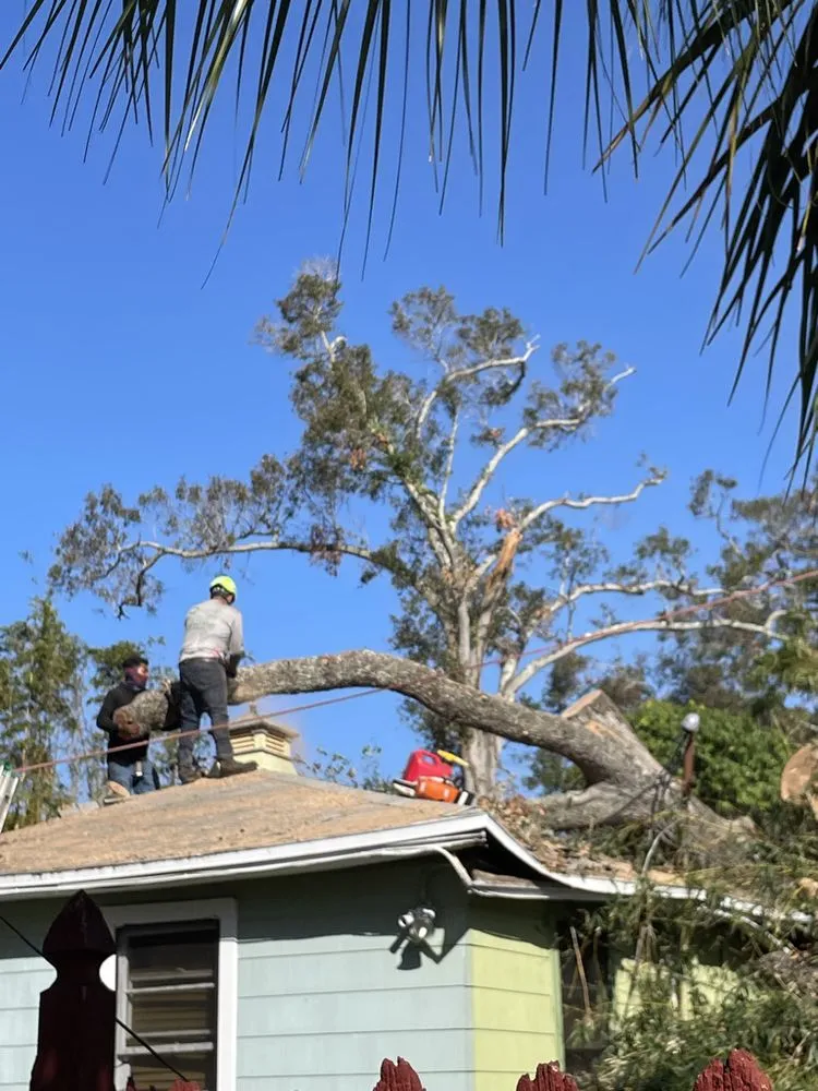 Expert landscaping services for residential properties across Irving, TX - Felix Tree and Landscaping Service