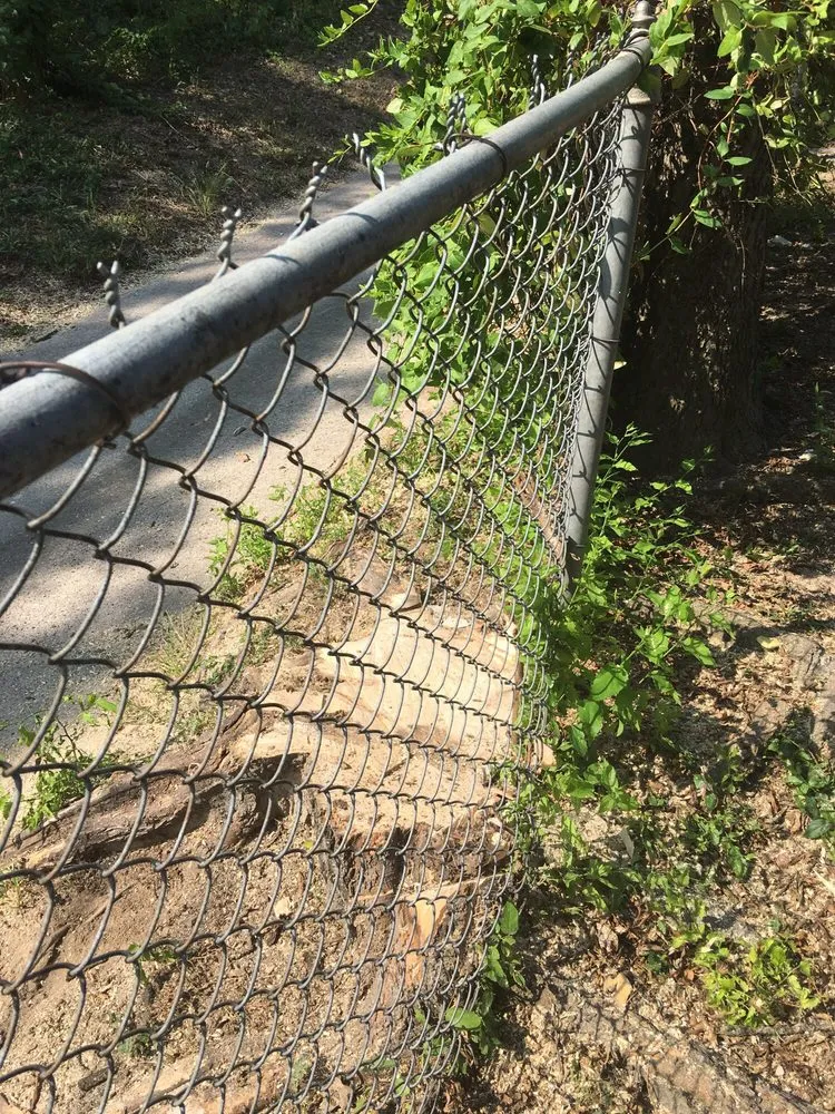 Trusted landscape installation in Irving, TX by Felix Tree and Landscaping Service