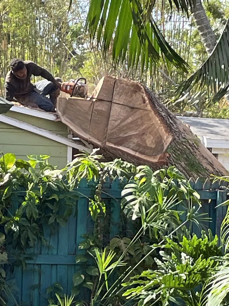 Affordable yard cleanup service with custom design in Irving, TX by Felix Tree and Landscaping Service