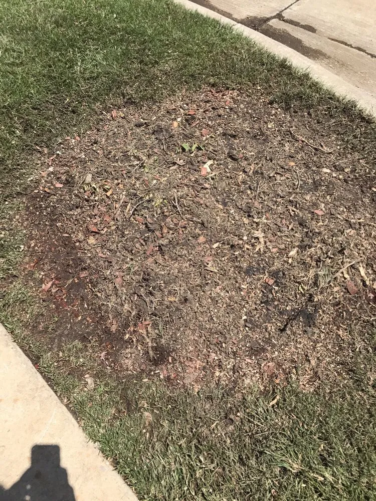 Expert garden landscaping in Irving, TX - Felix Tree and Landscaping Service