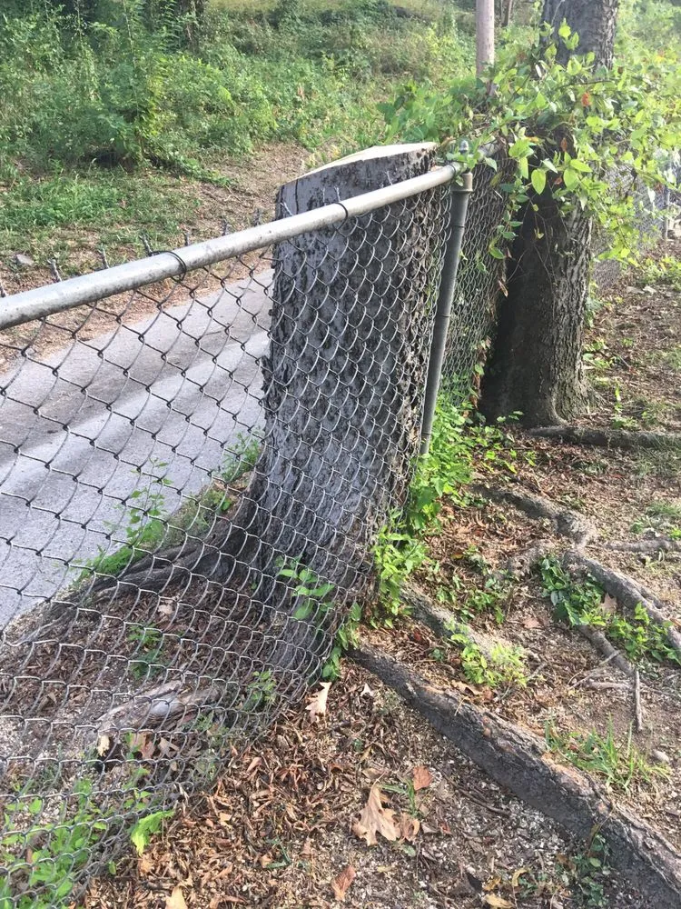 Reliable landscape installation for homes across Irving, TX - Felix Tree and Landscaping Service