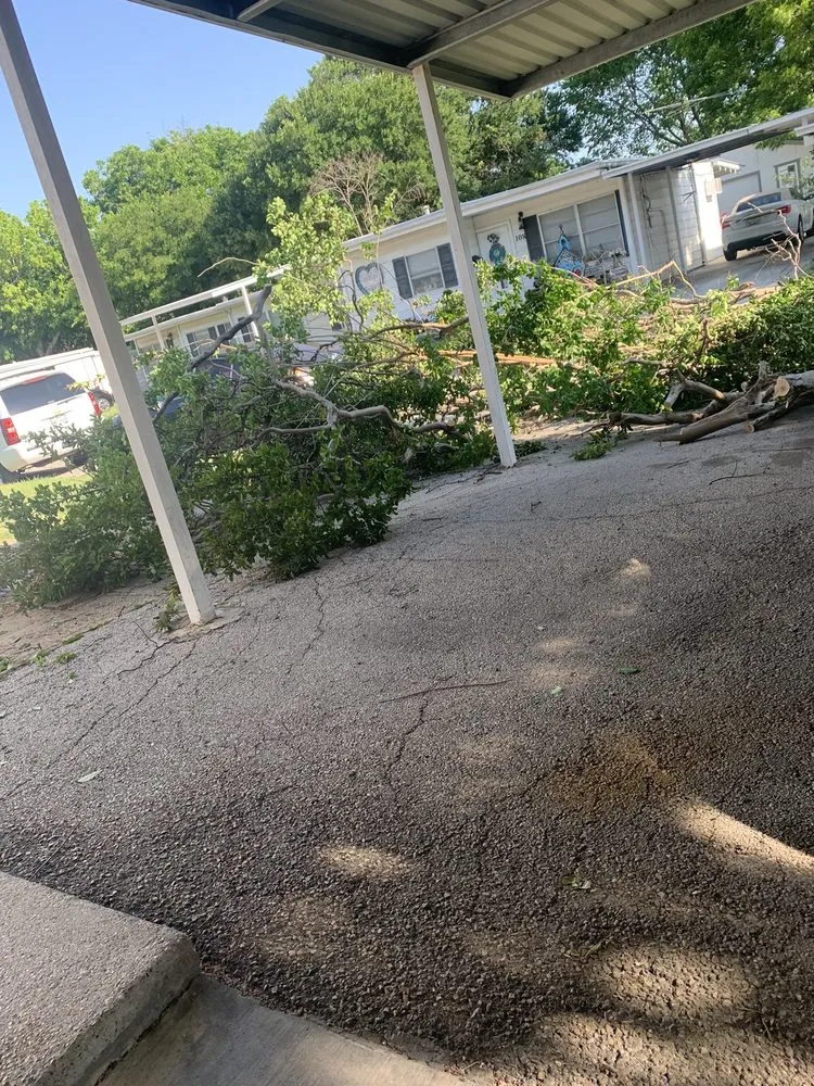 Reliable residential landscaping for year-round maintenance in Irving, TX by Felix Tree and Landscaping Service