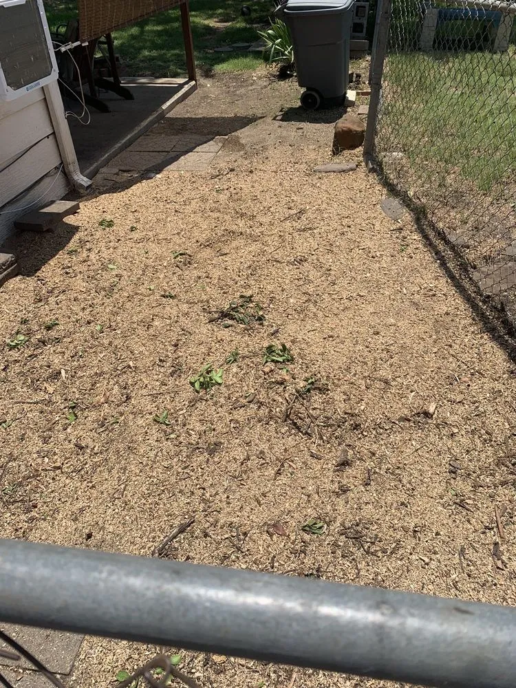 Custom landscape installation in Irving, TX by Felix Tree and Landscaping Service