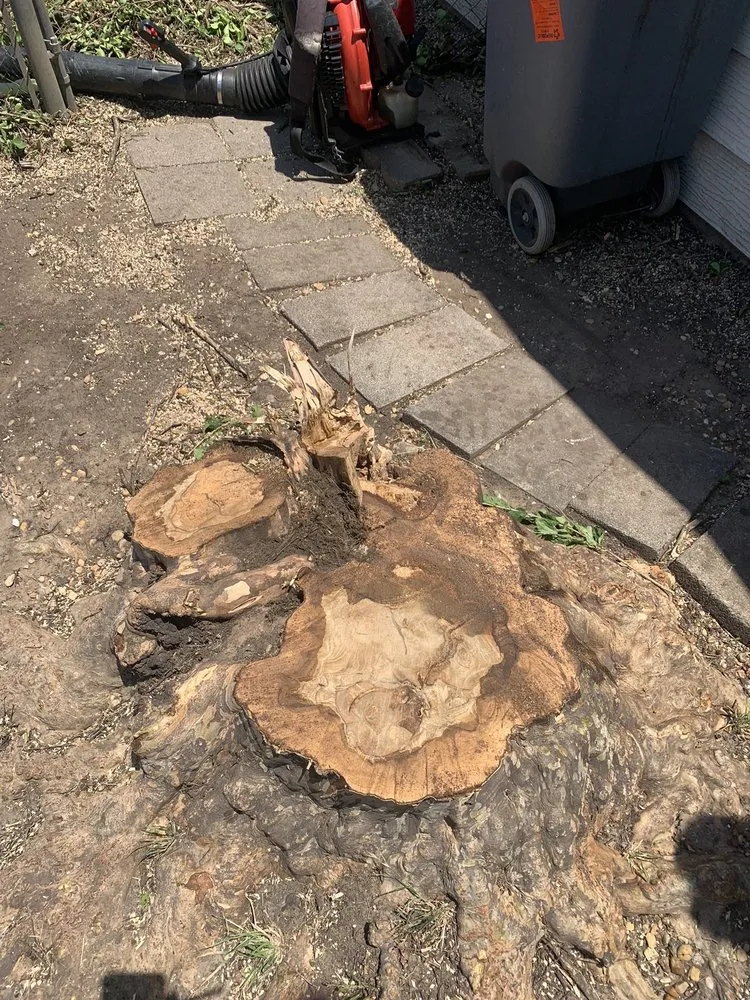 Reliable residential landscaping for year-round maintenance across Irving, TX - Felix Tree and Landscaping Service