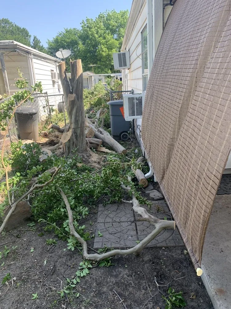 Affordable garden landscaping for homes across Irving, TX - Felix Tree and Landscaping Service