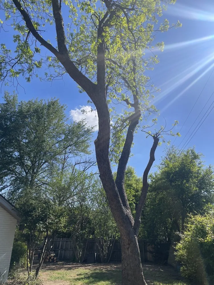 Top-rated landscape installation experts serving Irving, TX - Felix Tree and Landscaping Service