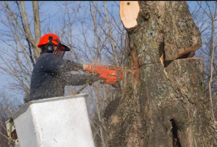 Felix Tree Service Logo