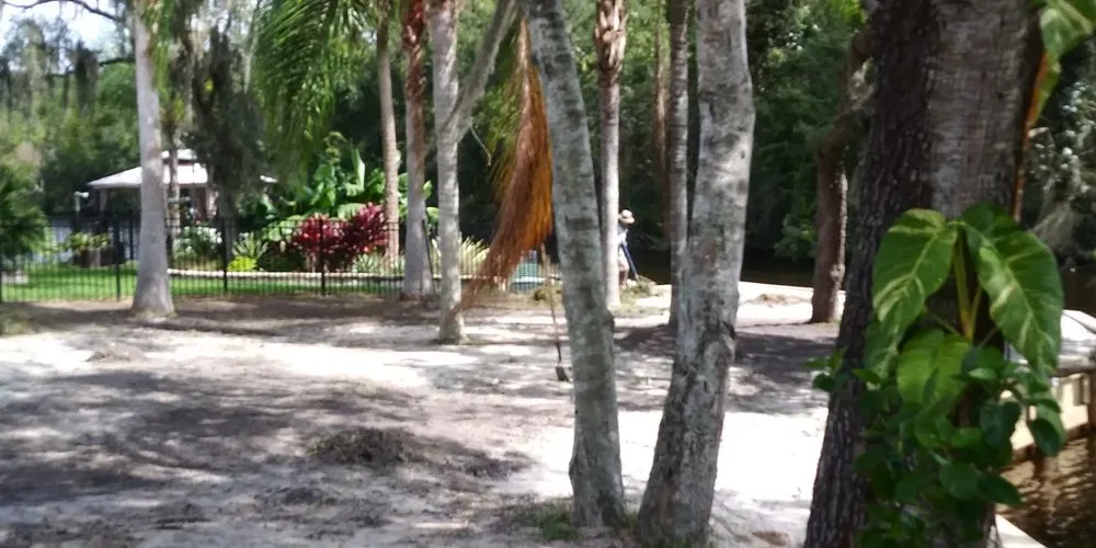 Professional lawn mowing service for homes in Tampa, FL by Felix's And Son Sod