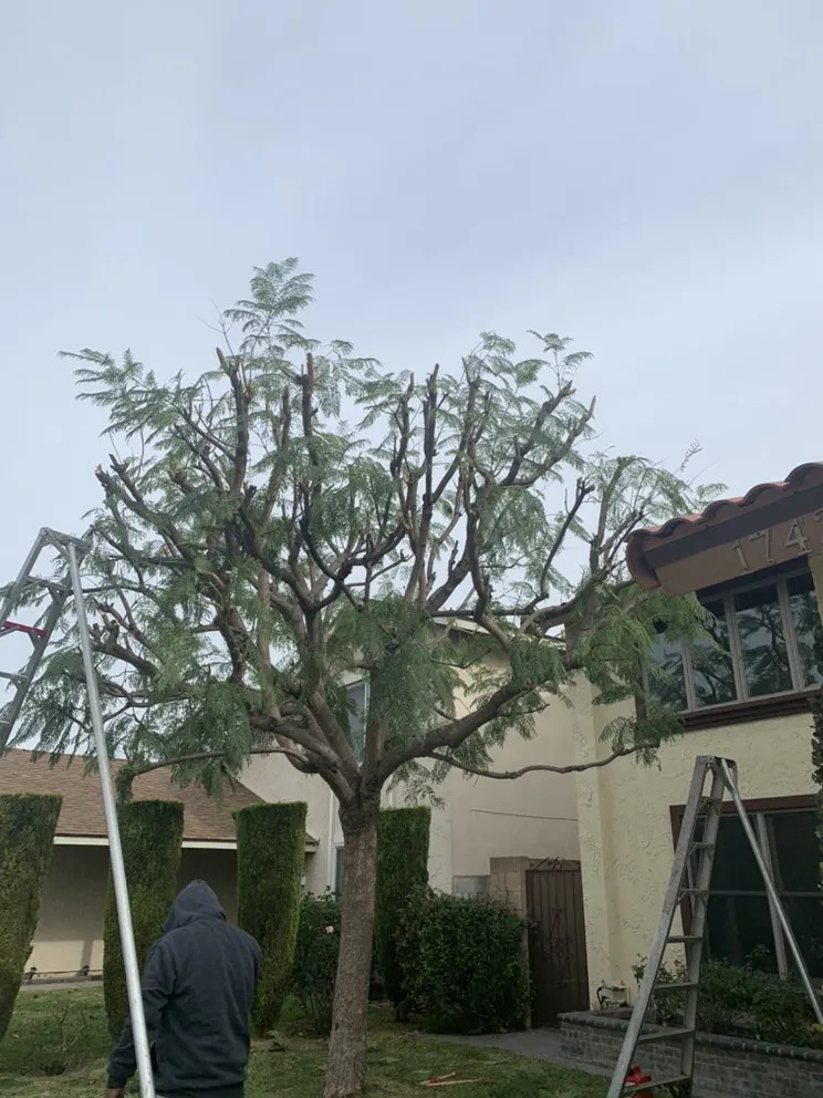 Expert residential landscaping experts serving Stanton, CA - Felix’s Gardening Services