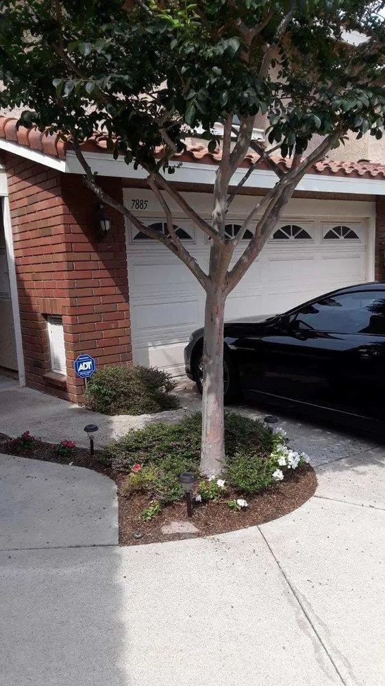 Top-rated landscape design in Stanton, CA - Felix’s Gardening Services