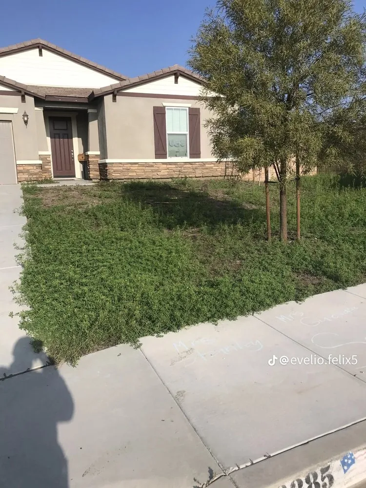 Local yard maintenance experts serving Menifee, CA - Felix’s Landscape & Hardscape